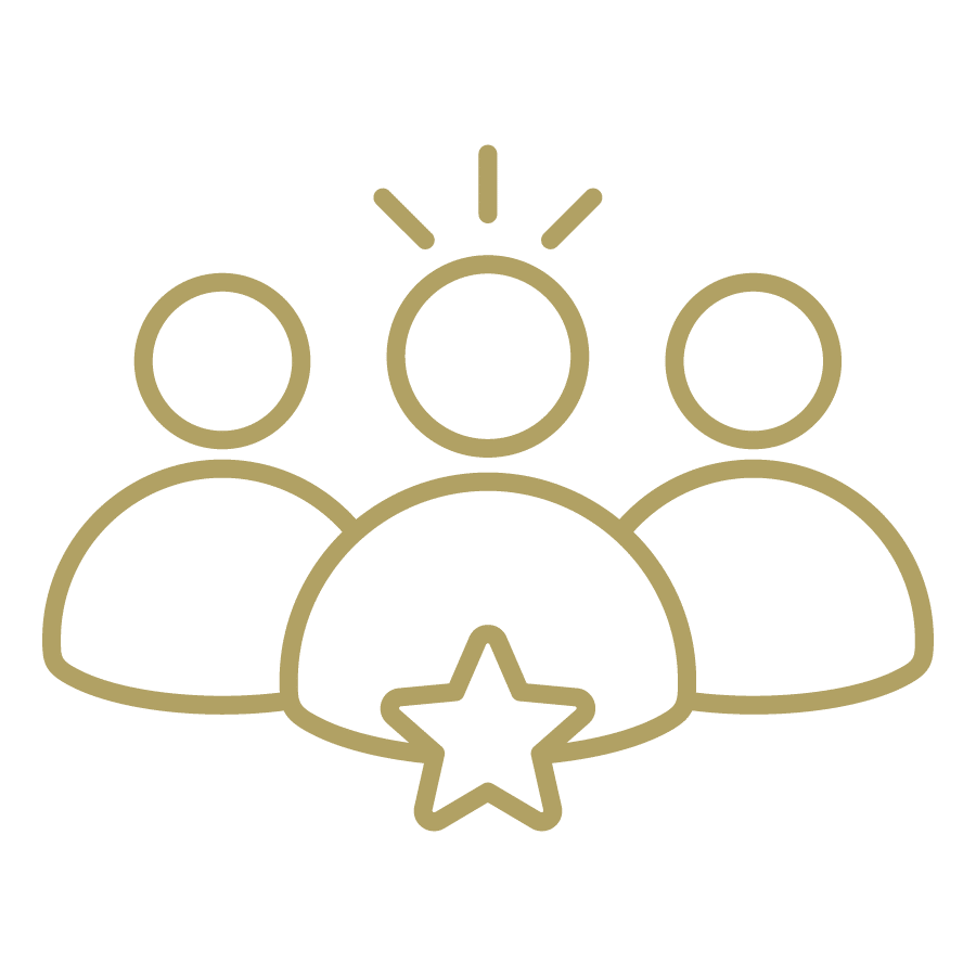 develop leadership icon