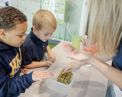 HRA Lower School students plant seeds in the hydroponics laboratory