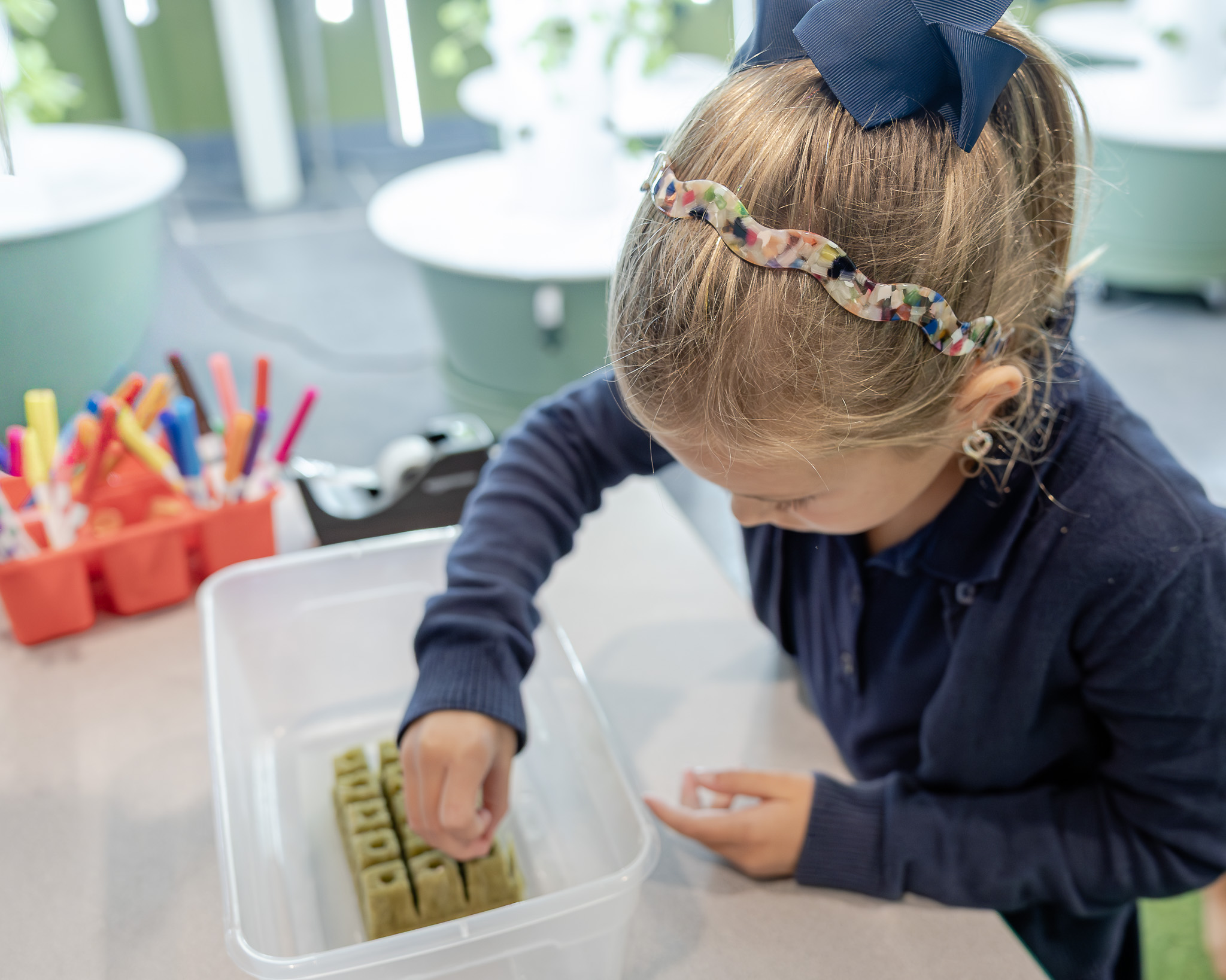 Hydroponics_Planting Seeds dining services